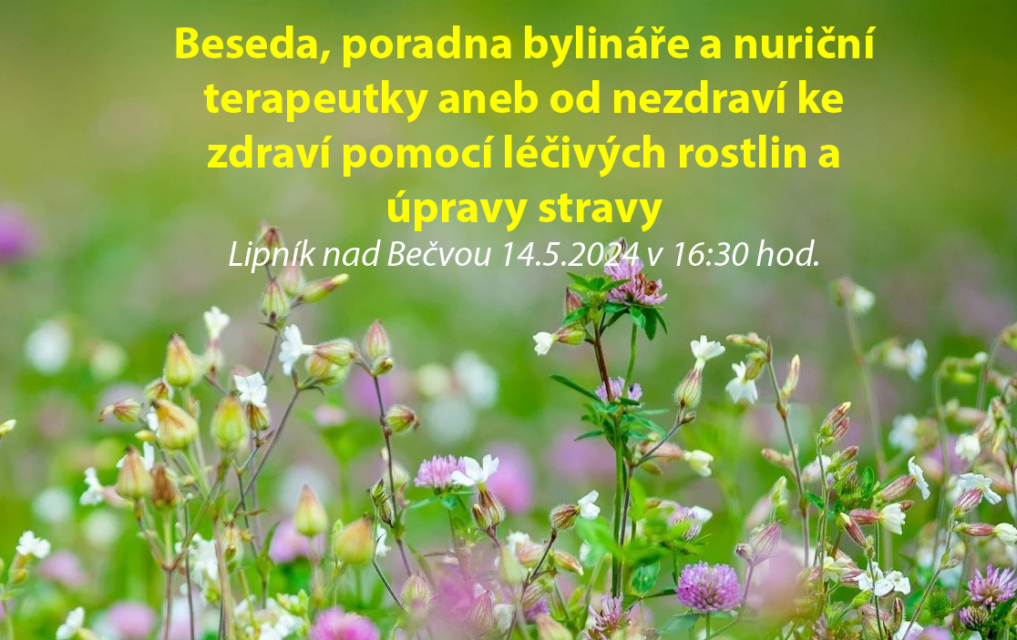 Beseda, poradna bylináře a bylináře a nutriční terapeutky, Lipník nad Bečvou 14.5.2024