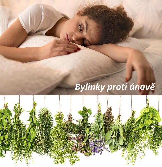 Chronická únava - byliny, bylinky, příčina únavy a léčba změnou životosprávy a životního stylu
