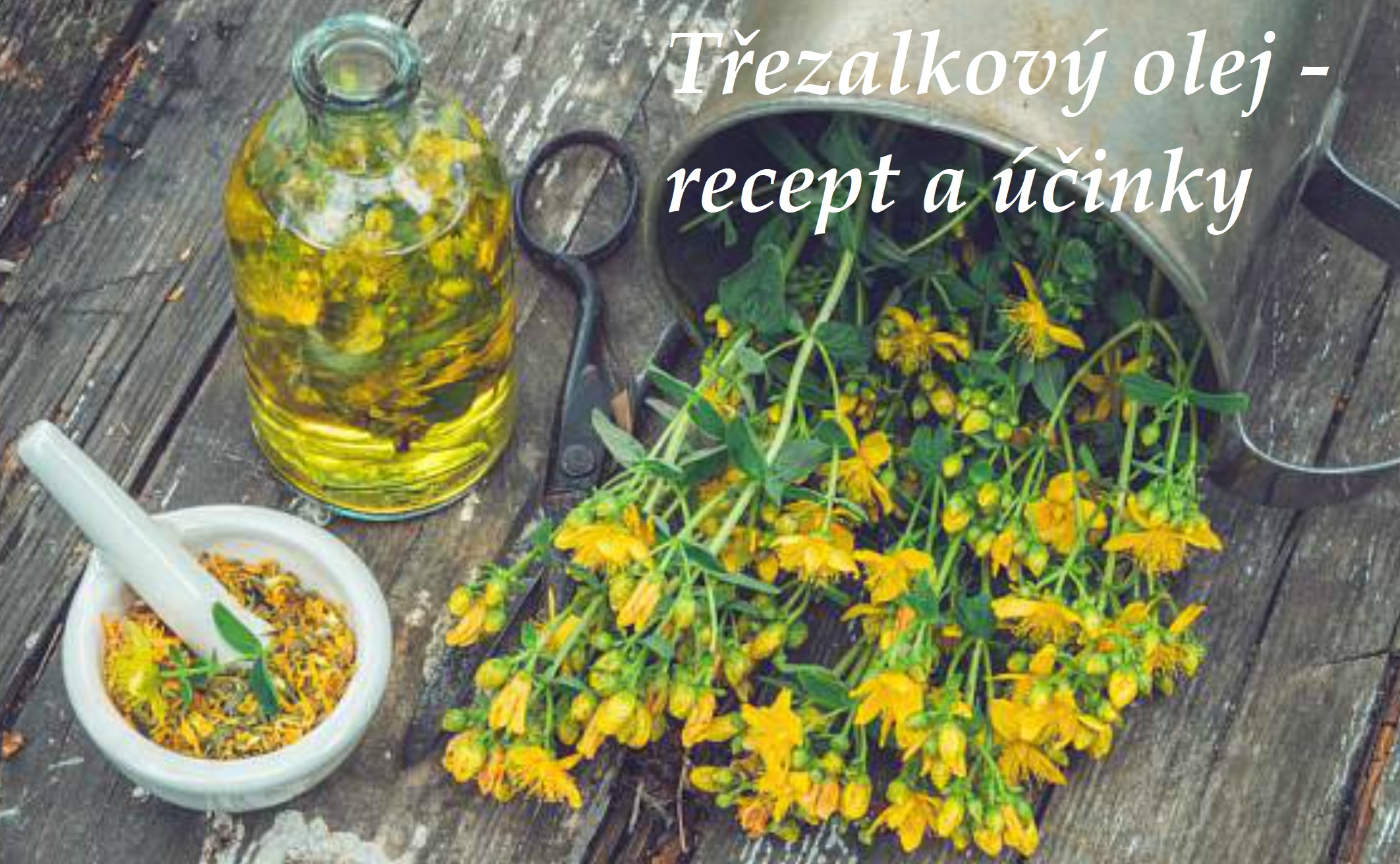 Třezalkový olej, olej z třezalky, Janův olej - recept, postup, návod na výrobu, účinky, využití