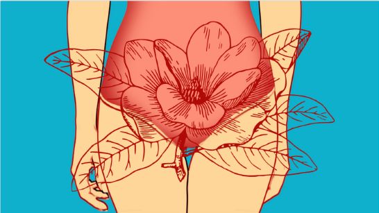 prednaska zdravi zeny od prvni menstruace po klimakterium kraliky organizuje zelena louka
